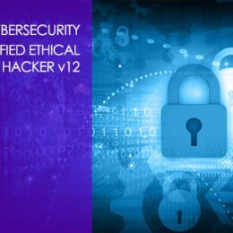 Certified Ethical Hacker Training for Certification - CEH V12