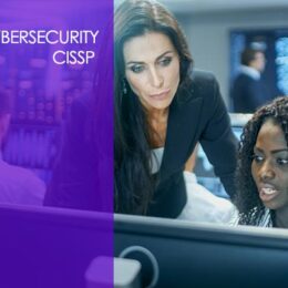 Certified Information Systems Security Professional (CISSP)